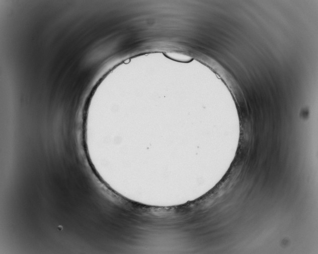 X0000103441147200810241116