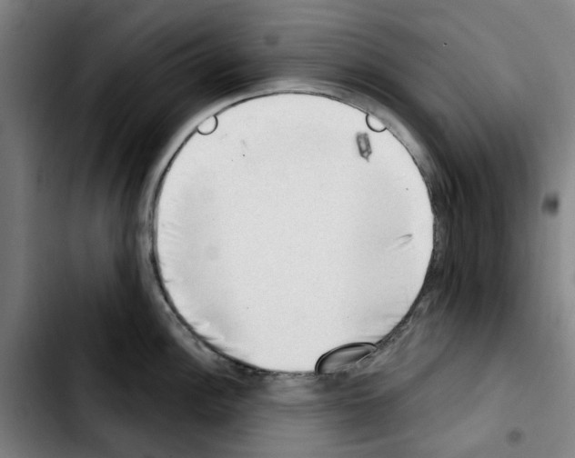 X0000103441148200810241116