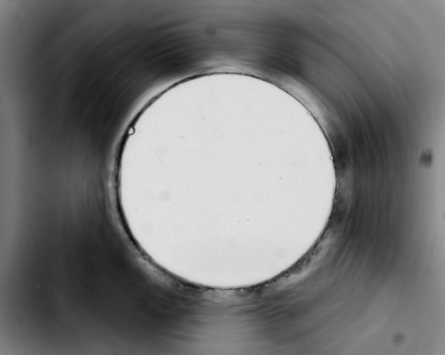 X0000103441149200810241116