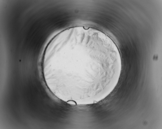 X0000103441152200810241116
