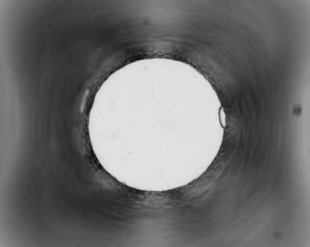 X0000103441153200810241115