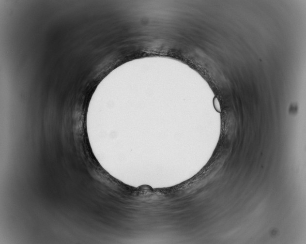 X0000103441154200810241115
