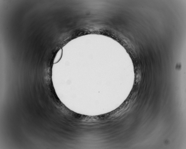 X0000103441156200810241115