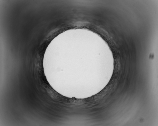 X0000103441158200810241115