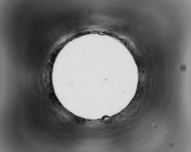 X0000103441159200810241115