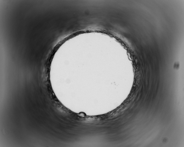 X0000103441160200810241115