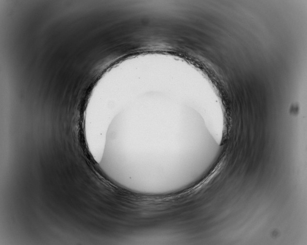 X0000103441161200810241115