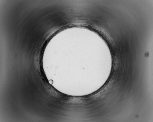 X0000103441162200810241115