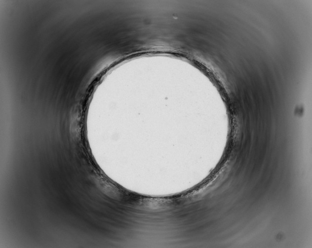 X0000103441163200810241115