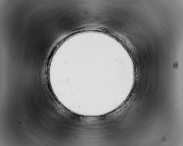 X0000103441164200810241115
