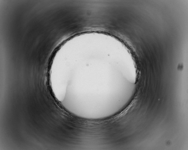 X0000103441165200810241115