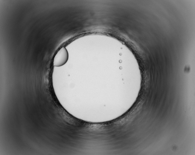 X0000103441166200810241115