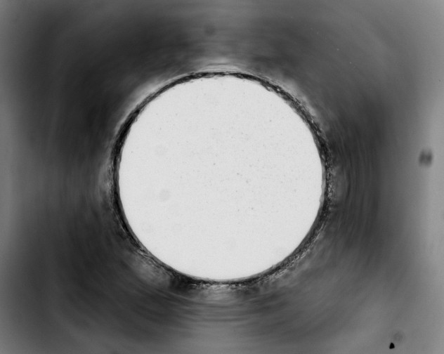 X0000103441167200810241115
