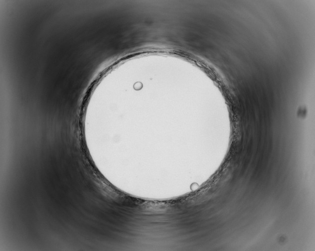 X0000103441168200810241115