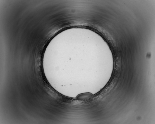 X0000103441169200810241115