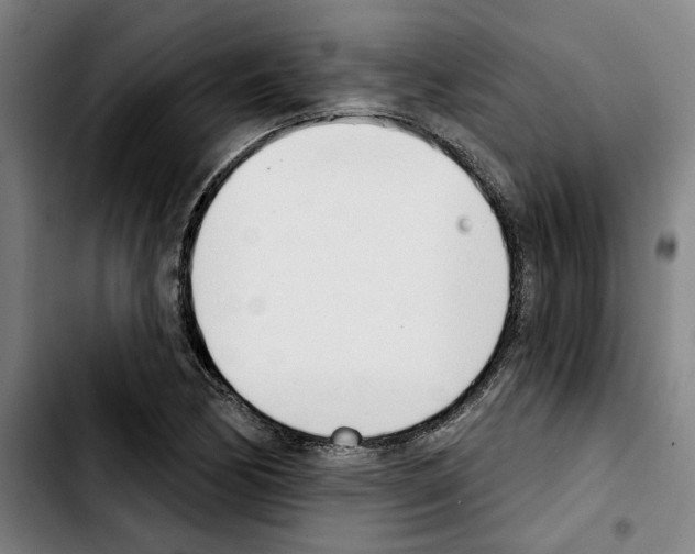X0000103441170200810241115
