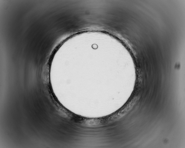 X0000103441171200810241115