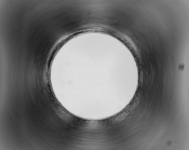 X0000103441172200810241115