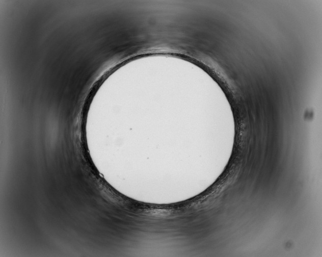 X0000103441173200810241115