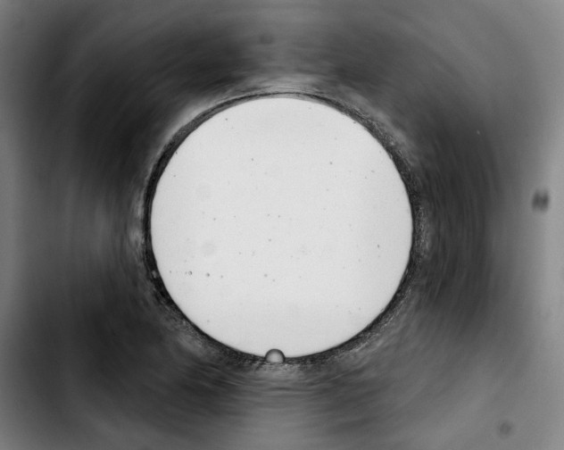 X0000103441174200810241115