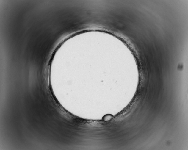 X0000103441175200810241115