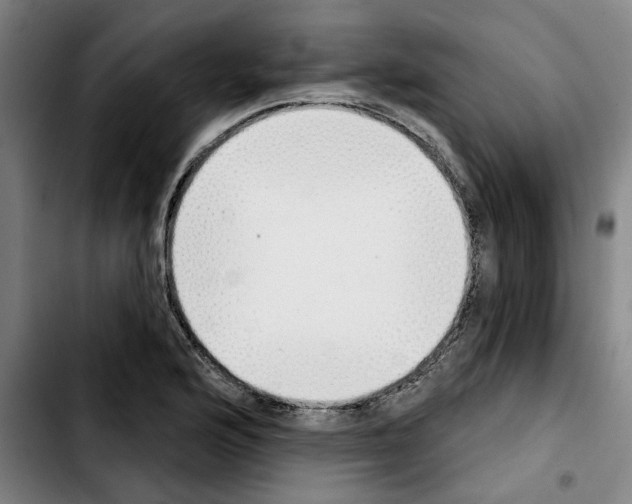 X0000103441176200810241115