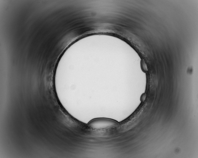X0000103441177200810241115