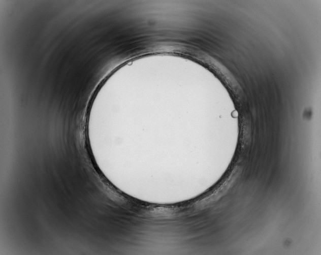 X0000103441178200810241115