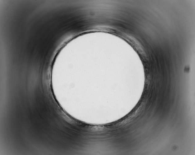 X0000103441180200810241115