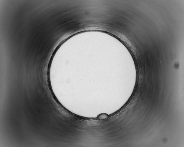 X0000103441181200810241115