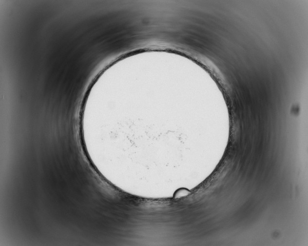 X0000103441183200810241114