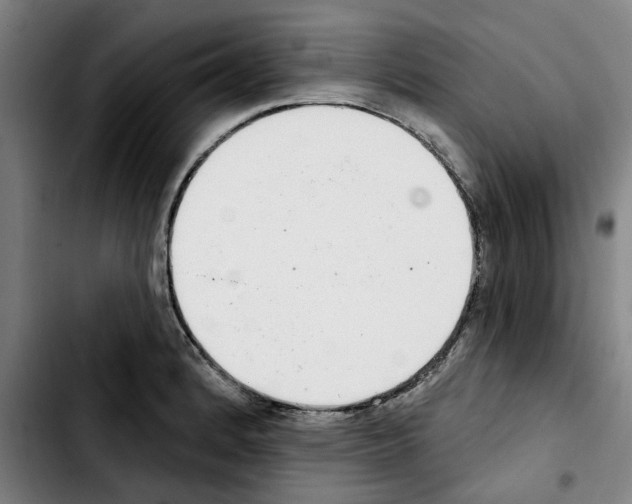 X0000103441184200810241114
