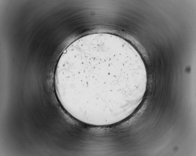 X0000103441185200810241114