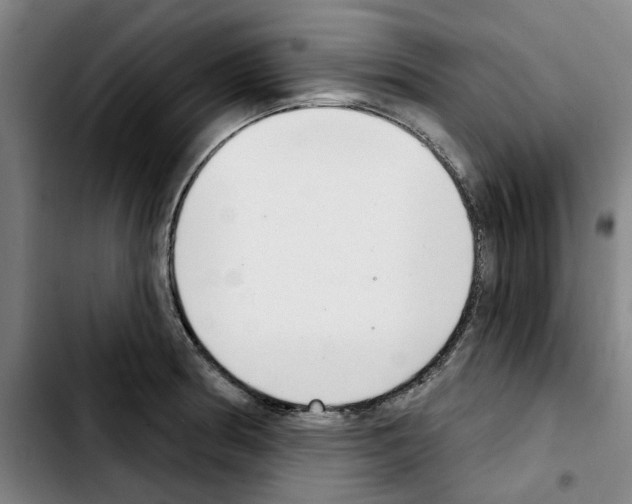 X0000103441186200810241114