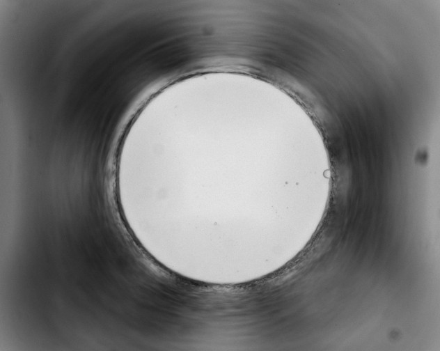 X0000103441188200810241114
