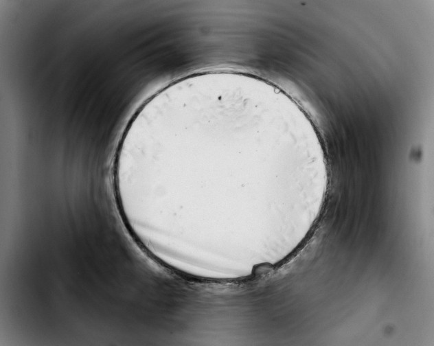 X0000103441189200810241114