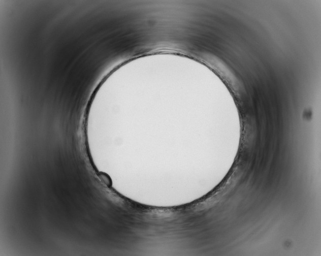 X0000103441190200810241114