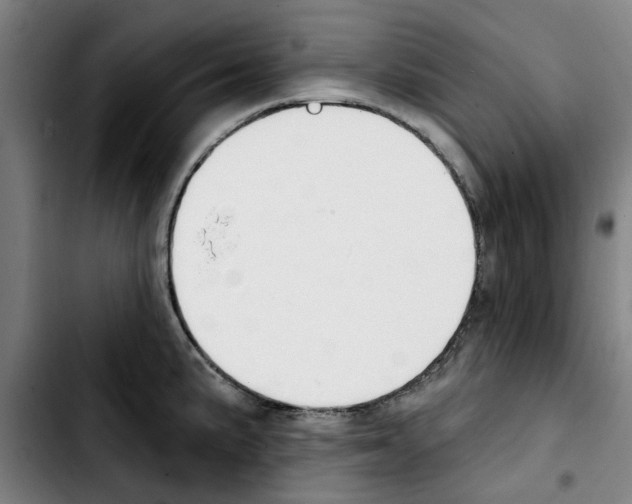 X0000103441191200810241114