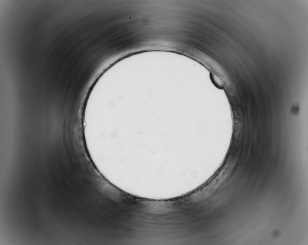 X0000103441192200810241114