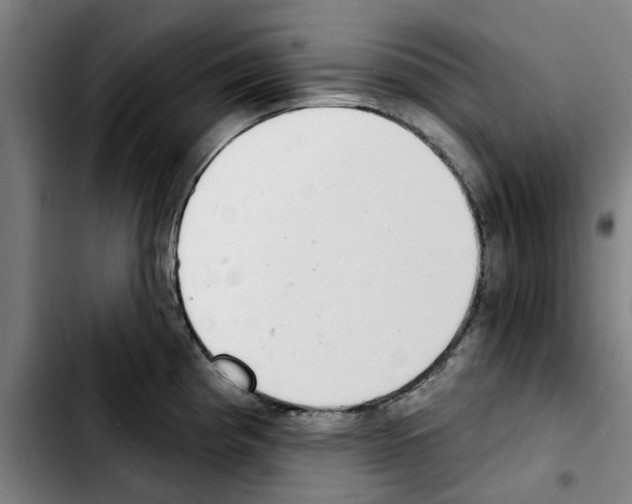 X0000103441193200810241114