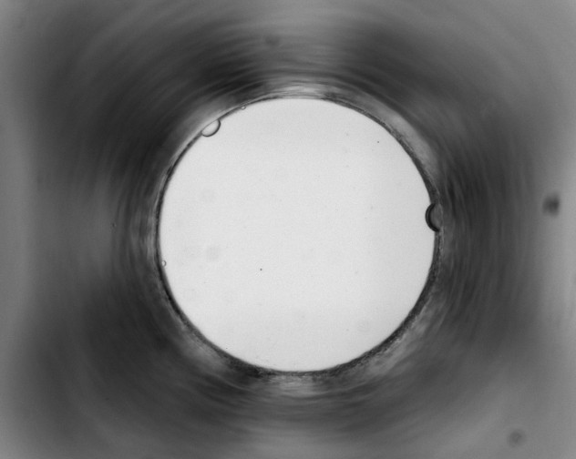 X0000103441194200810241114
