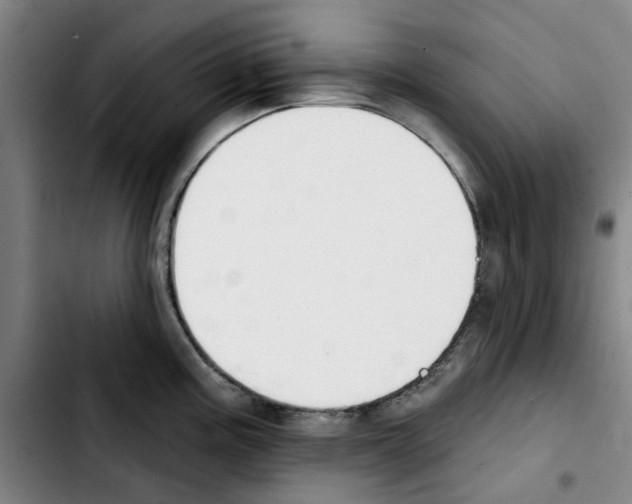 X0000103441195200810241114
