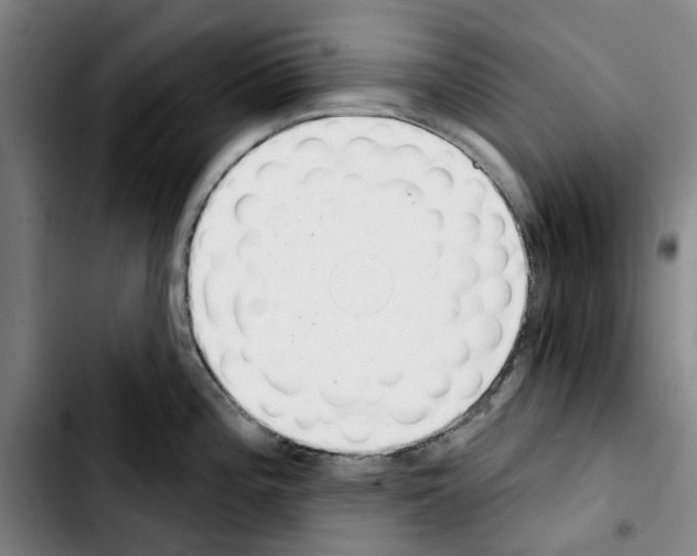 X0000103441196200810241114