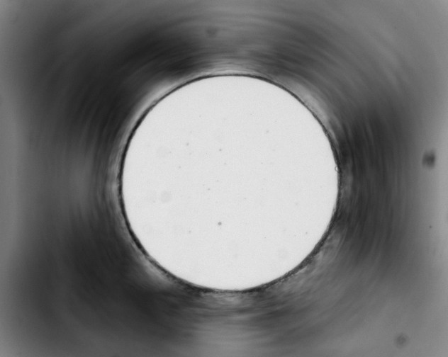 X0000103441197200810241114