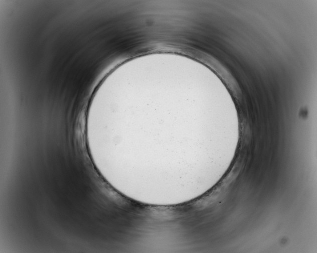 X0000103441198200810241114