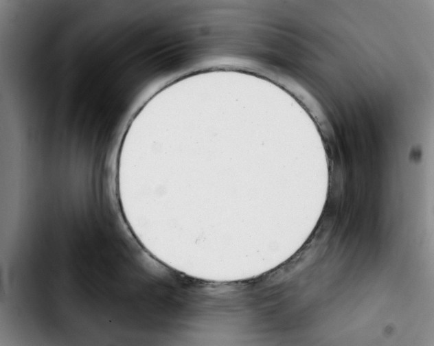 X0000103441199200810241114