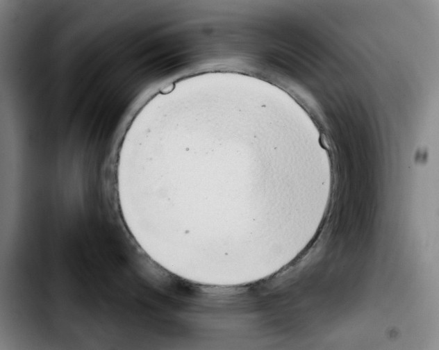 X0000103441200200810241114