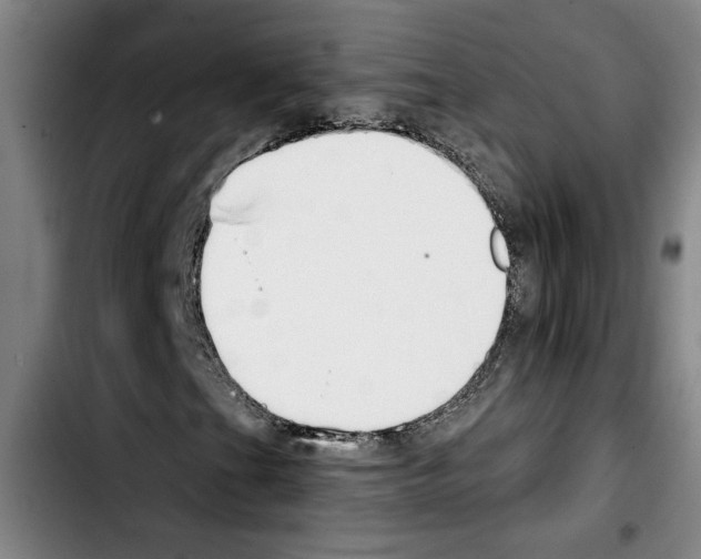 X0000103441201200810241113