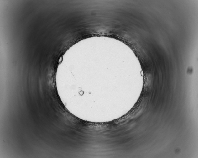 X0000103441202200810241113