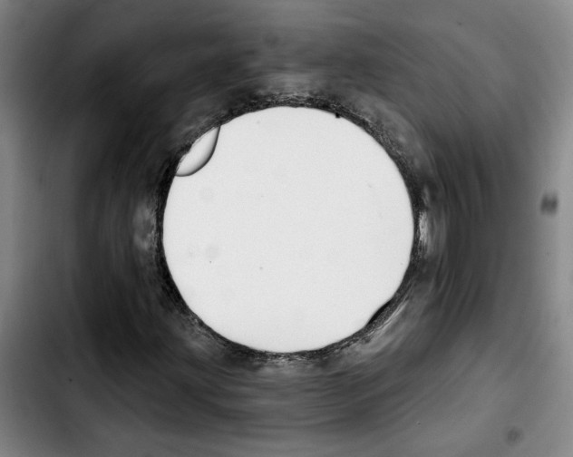 X0000103441203200810241113